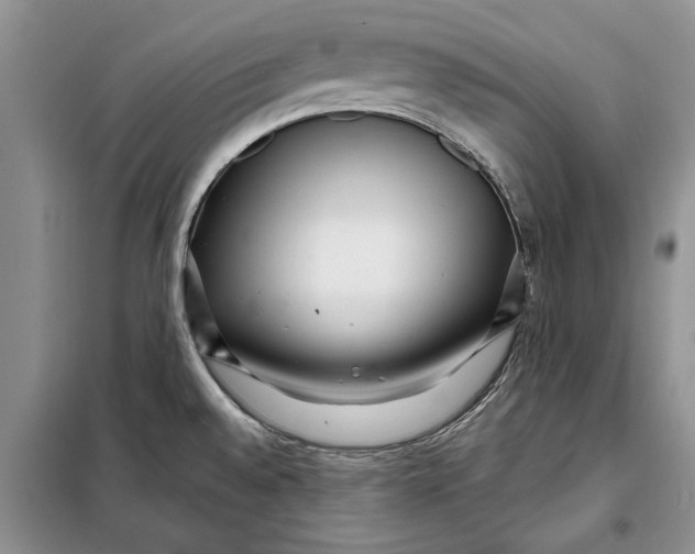 X0000097871528200804110910