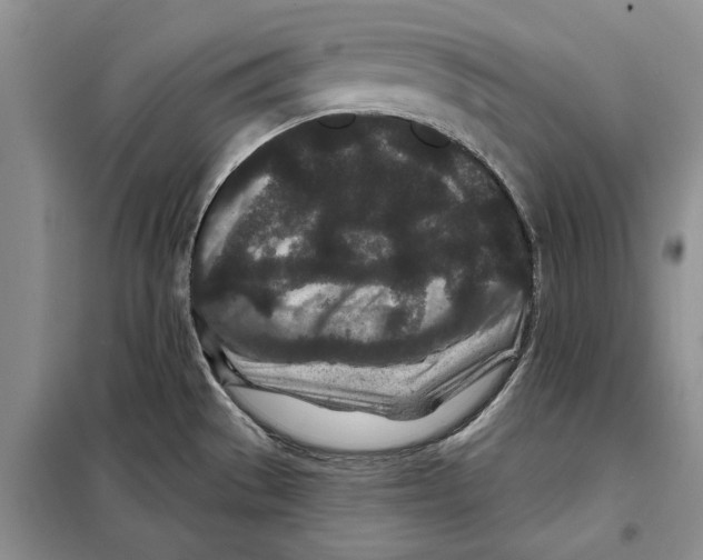X0000097871529200804110910