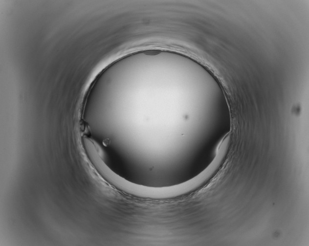 X0000097871530200804110911