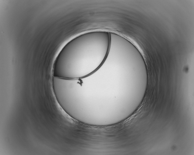 X0000097871532200804110911