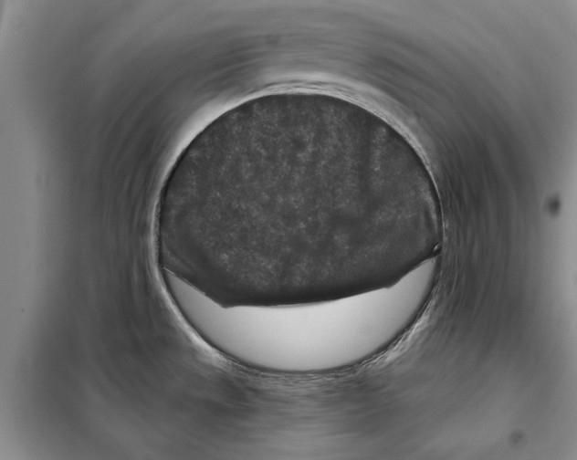 X0000097871533200804110911