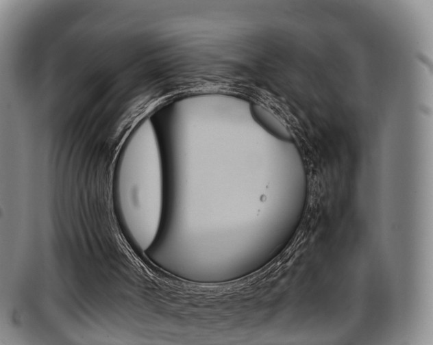 X0000097880002200803140953