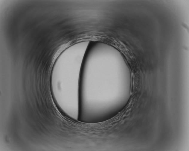X0000097880003200803140953