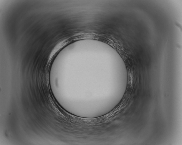 X0000097880004200803140953