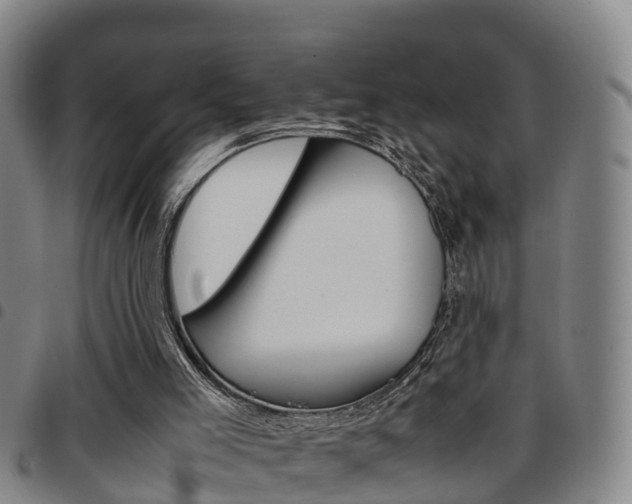 X0000097880005200803140953