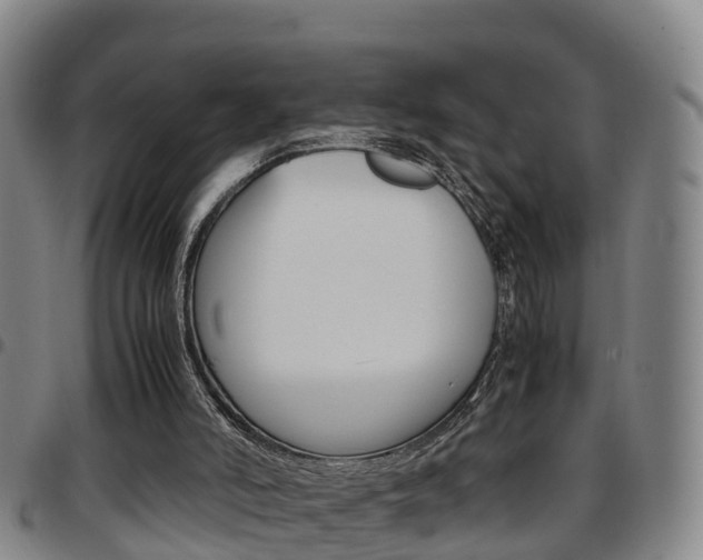 X0000097880006200803140953