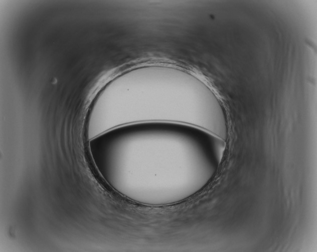 X0000097880007200803140953