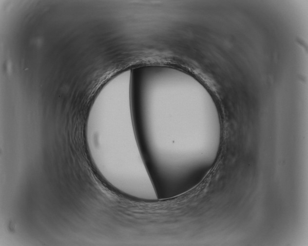 X0000097880009200803140953