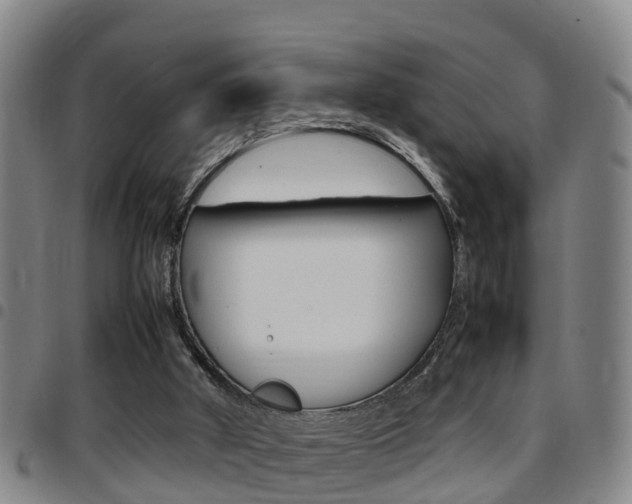 X0000097880010200803140953