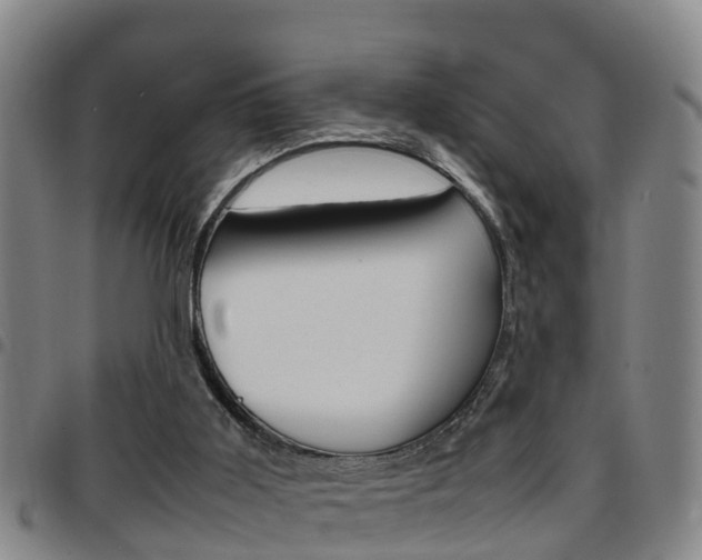 X0000097880011200803140953