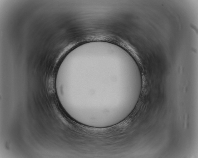 X0000097880012200803140953