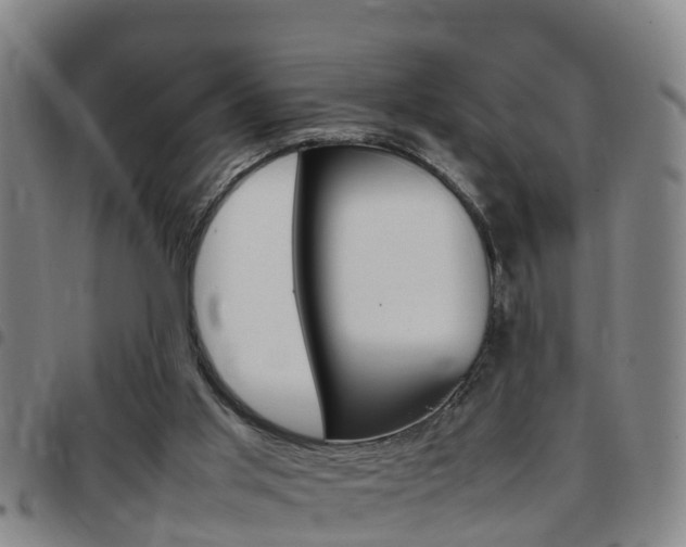 X0000097880013200803140953