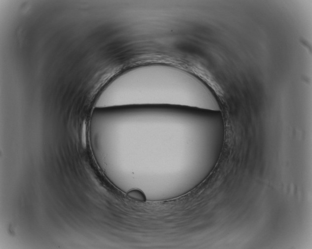 X0000097880014200803140953