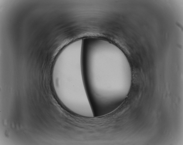 X0000097880015200803140953