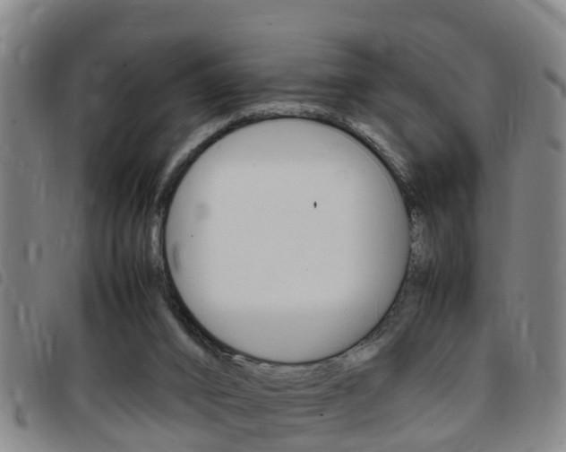 X0000097880016200803140953