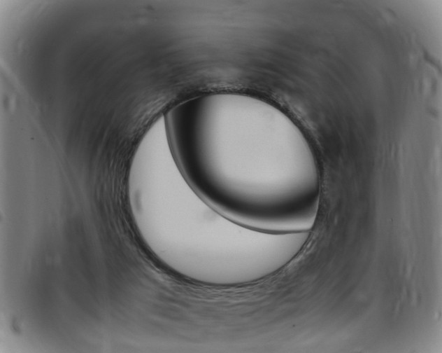 X0000097880017200803140953