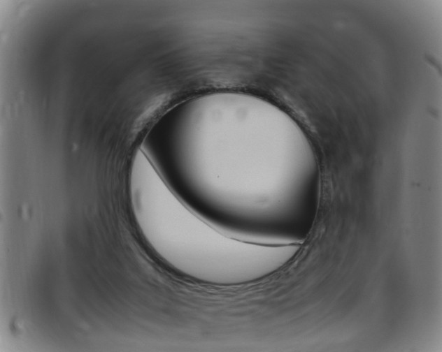 X0000097880019200803140952