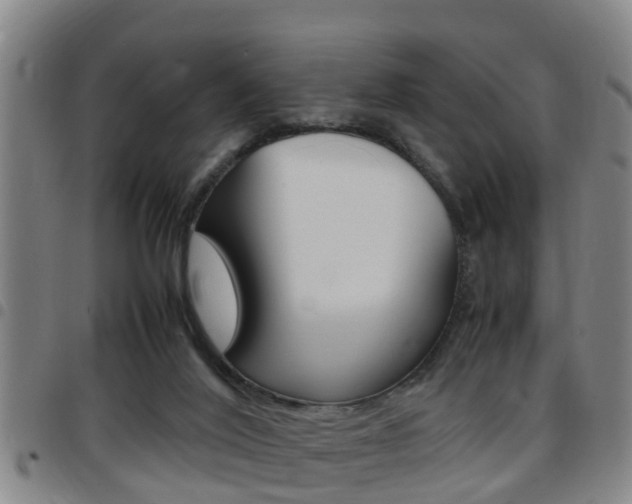 X0000097880020200803140952
