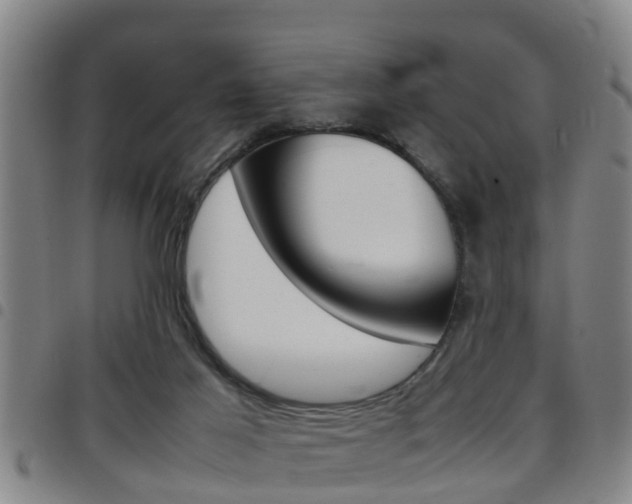 X0000097880021200803140952