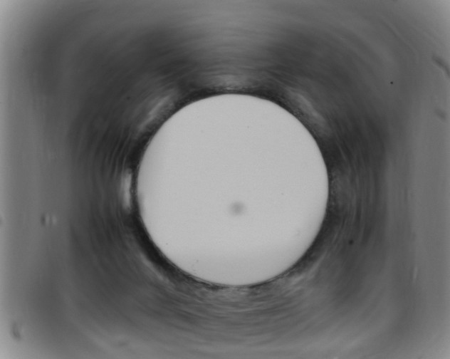 X0000097880024200803140952
