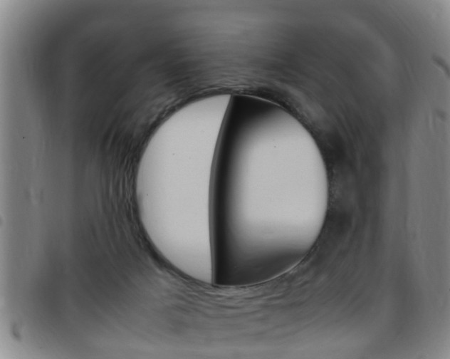 X0000097880025200803140952