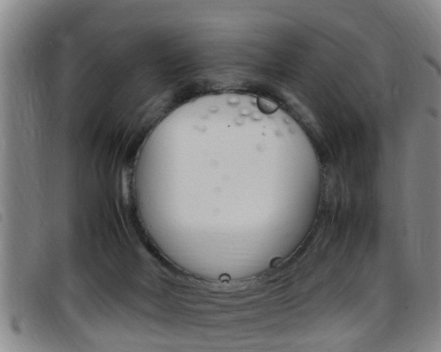 X0000097880026200803140952