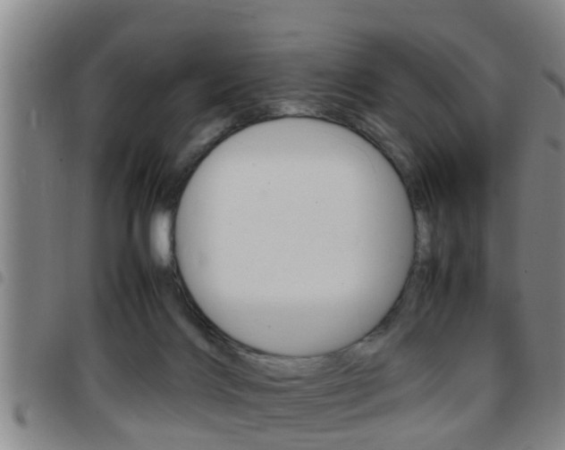 X0000097880028200803140952