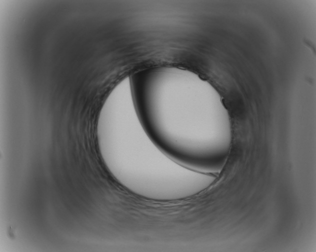 X0000097880029200803140952