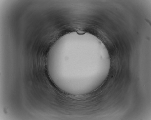 X0000097880030200803140952