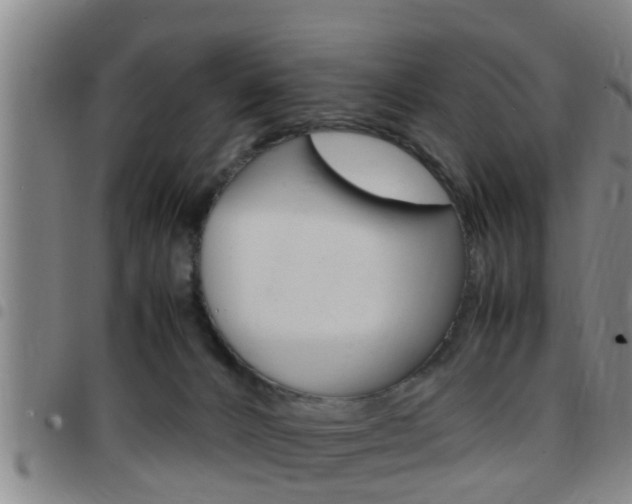 X0000097880032200803140952