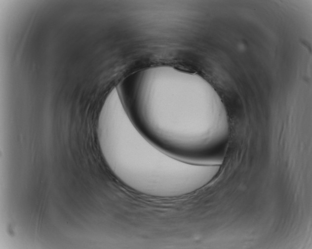 X0000097880033200803140952