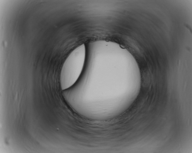 X0000097880034200803140952