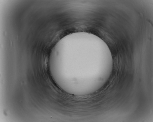 X0000097880038200803140952