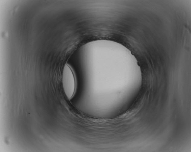 X0000097880040200803140952