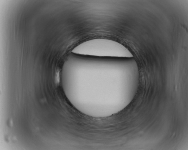 X0000097880042200803140952