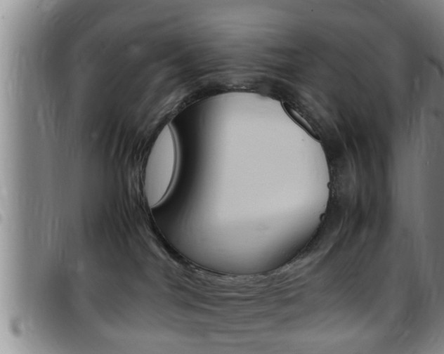 X0000097880044200803140952