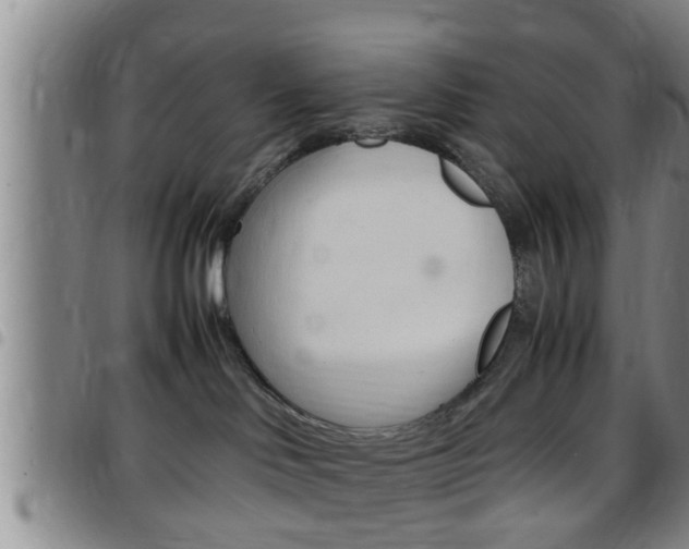 X0000097880046200803140952