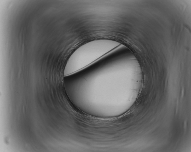X0000097880048200803140952