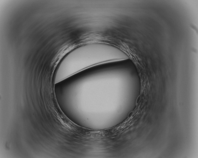 X0000097880050200803140951