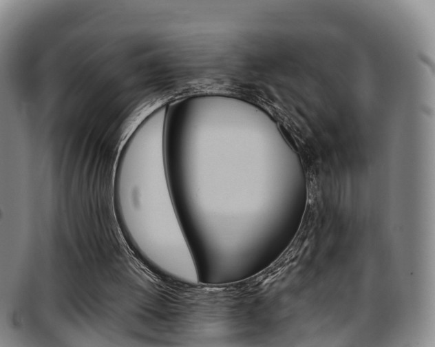 X0000097880052200803140951
