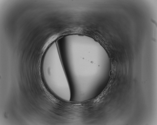 X0000097880054200803140951