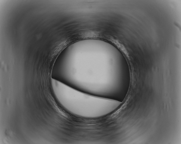 X0000097880057200803140951