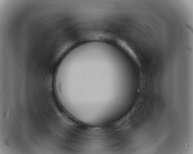 X0000097880058200803140951