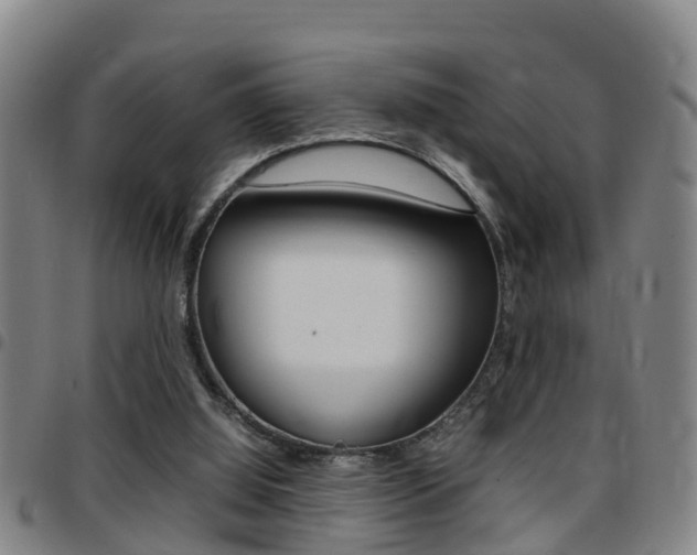X0000097880060200803140951