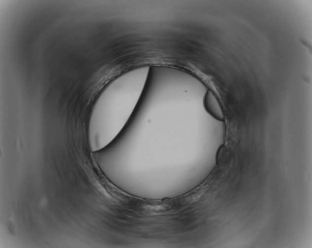 X0000097880061200803140951