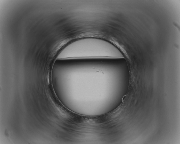 X0000097880062200803140951