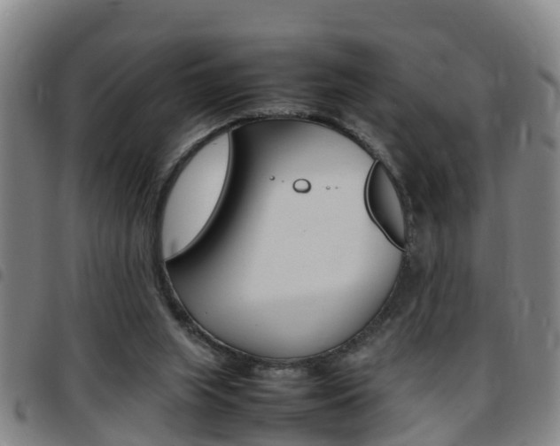 X0000097880063200803140951