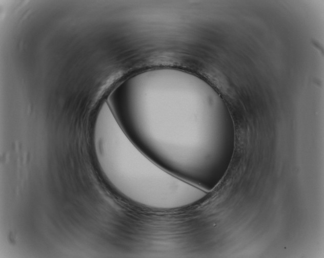X0000097880064200803140951