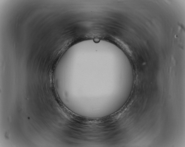 X0000097880065200803140952