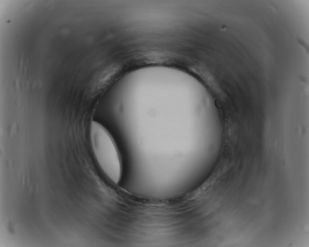 X0000097880066200803140952